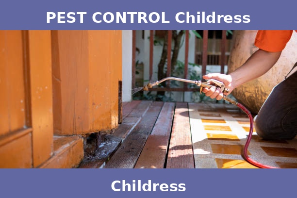 PEST CONTROL Childress